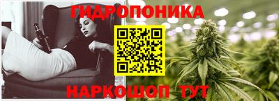 a pvp Ирбит