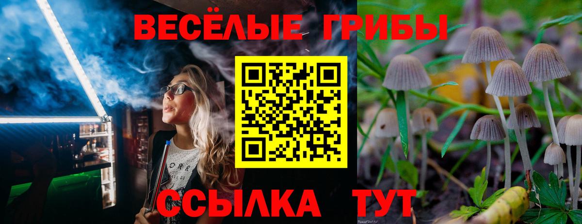 Галлюциногенные грибы мицелий Кстово