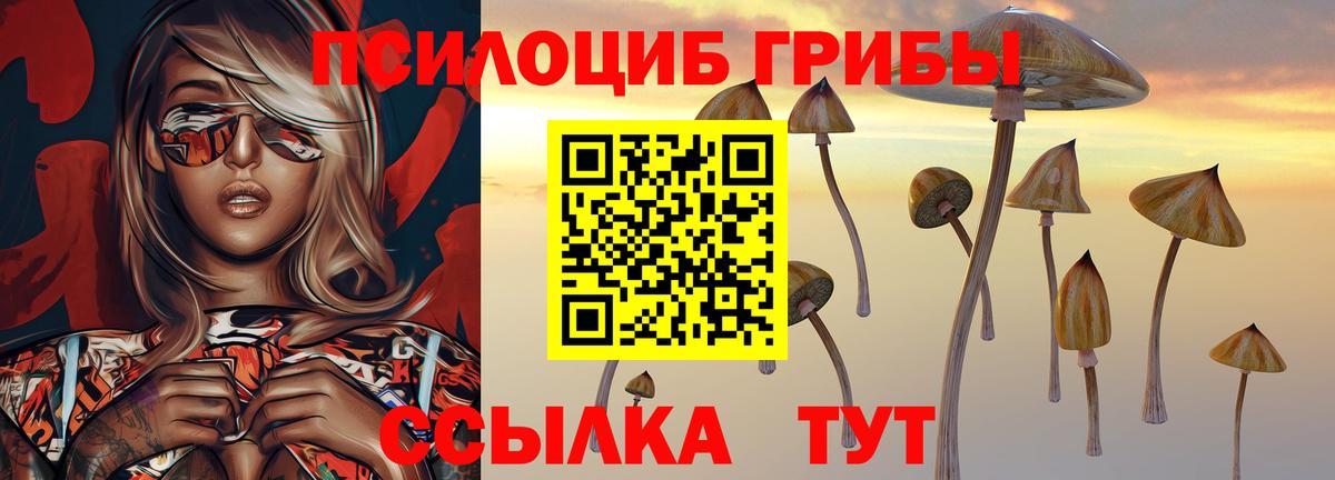 Кстово  Галлюциногенные грибы GOLDEN TEACHER  Вход с VPN 
